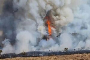 Alun-Alun Suryakencana Gunung Gede Terbakar, Diduga Kompor Pendaki Meledak