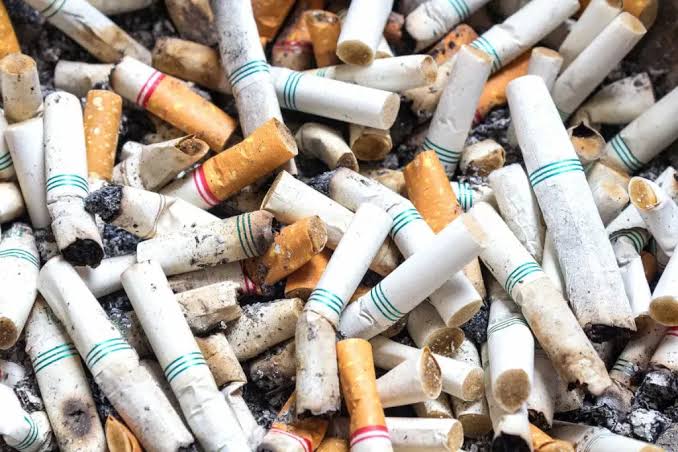 WHO Ingatkan Bahaya Rokok yang Bisa Ganggu Kesuburan